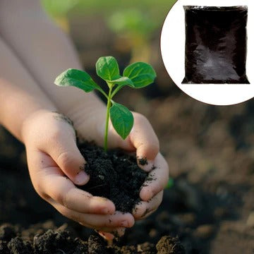 A close-up of a person's hands gently cupping dark, rich soil holding a small green seedling, with a circular inset in the top right corner showing a large black plastic bag of potting soil or compost.