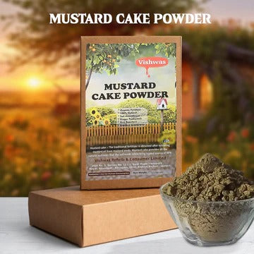 A product display of Vishwas Mustard Cake Powder featuring a labeled brown cardboard box standing upright on another box, situated next to a clear glass bowl filled with the coarse, dark brown fertilizer powder, all set against a warm, blurred background of a countryside sunset.